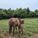 봉봉슈퍼 이미지