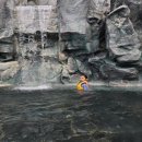 GS25울진북면점 | 경북 울진 덕구온천 스파월드 온천장 솔직후기(대한민국 대표 국민보양온천)