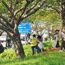 낙동제방 이미지