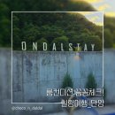 밸마운트펜션2 | [단양 온달스테이 펜션 솔직후기] 룸컨디션 꼼꼼하게 체크하고 온 힐링 여행
