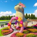 흥도동행정복지센터 이미지