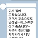 도이치오토월드 주식회사 이미지