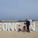 영진농장2 이미지