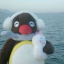 암산유원지 | ✨안동 암산유원지 후기❄️🤍 썰매/스케이트/추억/자연