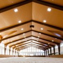 세계승마클럽 이미지