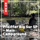 SP-5H05 | [🏕️미국 캠핑] 캘리포니아 빅서의 아름다운 숲속 캠핑장(Pfeiffer Big Sur SP)