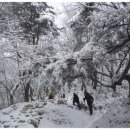 김제산소 Daum카페