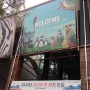 삼정더파크 동물원 타로 이벤트 행복하게 다녀왔습니다. 이미지