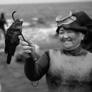 해녀작업장 이미지