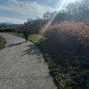 홍천시장 이미지