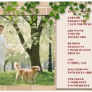 봄빛
