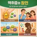 순백의원 이미지