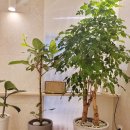 해솔정신건강의학과의원 이미지