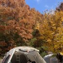 증산수도계곡캠핑장 이미지