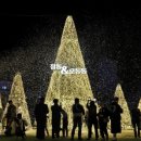 별빛처럼 이미지