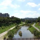 판교원로299번길 이미지