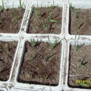 들꽃피는 이미지