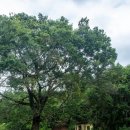 진등재 주유소 이미지