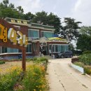 메밀촌 봉평 막국수 이미지