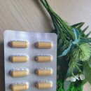 더(The)튼튼약국 | The Better 더베럴 리포좀 비타민 C 효능 후기 내돈내산 부모님 선물 약국 추천 영양제