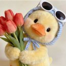 우당탕 | 우당탕 일상 강남 맛집 후기🎵🤍