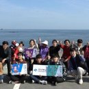 신창2리 어촌체험마을 이미지