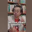 시공명리학은 메타언어 이미지