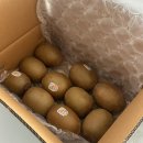 도그파파 | [임신일기 #5]임산부자동차표지, 조리원 결정!, 임산부 친구에게 선물 뭐할지 고민된다면?