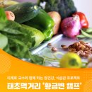 황금먹거리 이미지