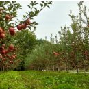 삼청농장 이미지