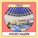 부산 온천 크다 커 허심청 농심호텔 온돌 후기