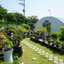 ㈜분재마을 이미지