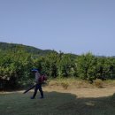 벌교철망 이미지