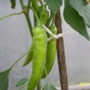 대근농장 이미지