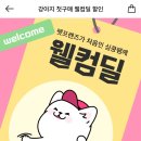 코드펫 이미지