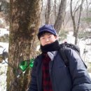 지리산화개깊은골 이미지