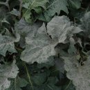 경상북도 농업기술원 이미지