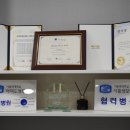 성모안과 이미지