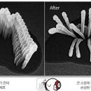 백구한의원 이미지