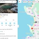 약속의 바다 | [남아공] 케이프타운에서의 마트 쇼핑(PickNPay), 캠스베이 바다 수영장 후기