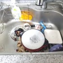 웰릭스렌탈(주) | 웰릭스 음식물처리기 렌탈 내돈내산 짧은 후기, 장:단점