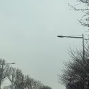 맑은샘약국 | 2025년 4월 1주차 주간일기 (생애 첫 입원 수술, 자궁근종 수술 후기)