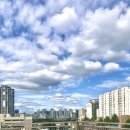 노량진종로약국 이미지