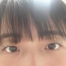 세븐일레븐 신림허브그린점 | 신림 속눈썹, 신림역 속눈썹 앞으로 속눈썹은 여기로 정착! “바이유뷰티”