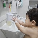 세씰 | 향좋은핸드워시 청포도향 아기핸드워시 자동핸드워시 쿠팡추천템 제타 자동 디스펜서