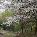 형아농장 이미지