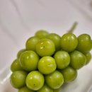 월출농장 이미지