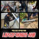 부산한약품 네이버블로그