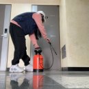 도화 다우림 이미지