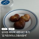 요거트 아이스크림의 정석 | 요아정 버터떡 내돈내산 후기 '요거트아이스크림의정석'